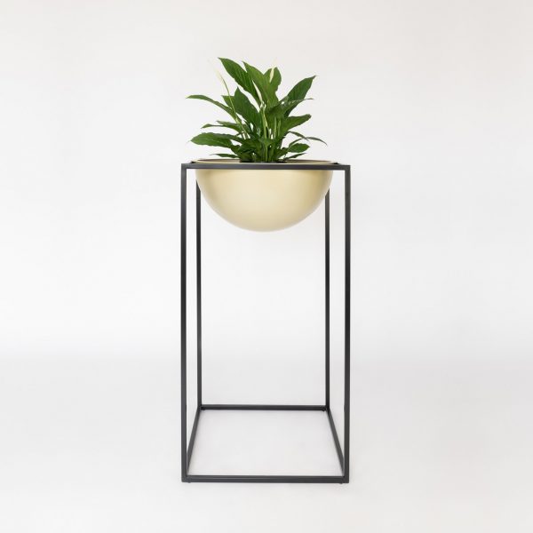 NOBL design vaas met plant standaard voor binnen op witte achtergrond