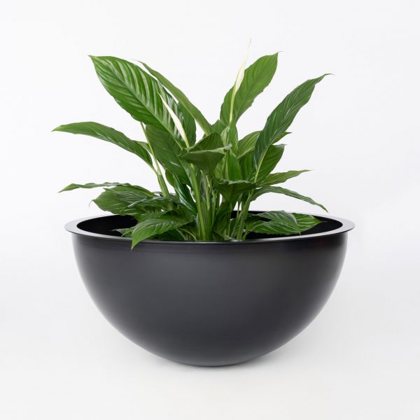 Zwarte Sunwood NOBL Design Vaas op witte achtergrond met groen witte plant